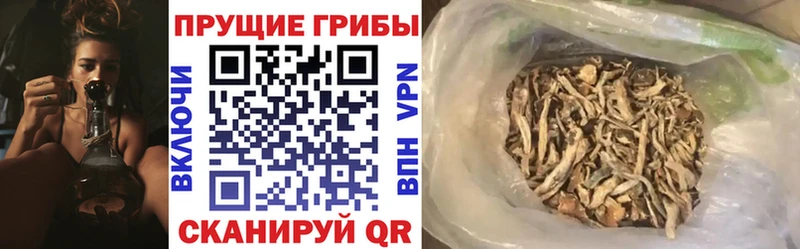 наркошоп  Лиски  Галлюциногенные грибы мицелий 